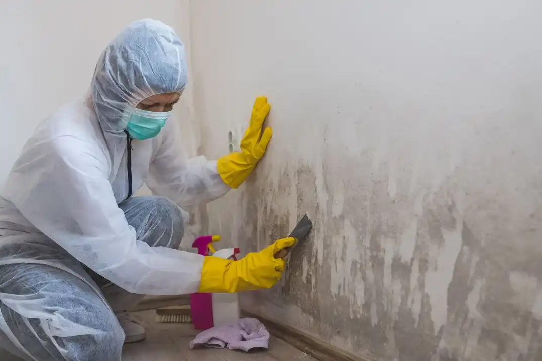 water damage restoration service Brewer's Hill